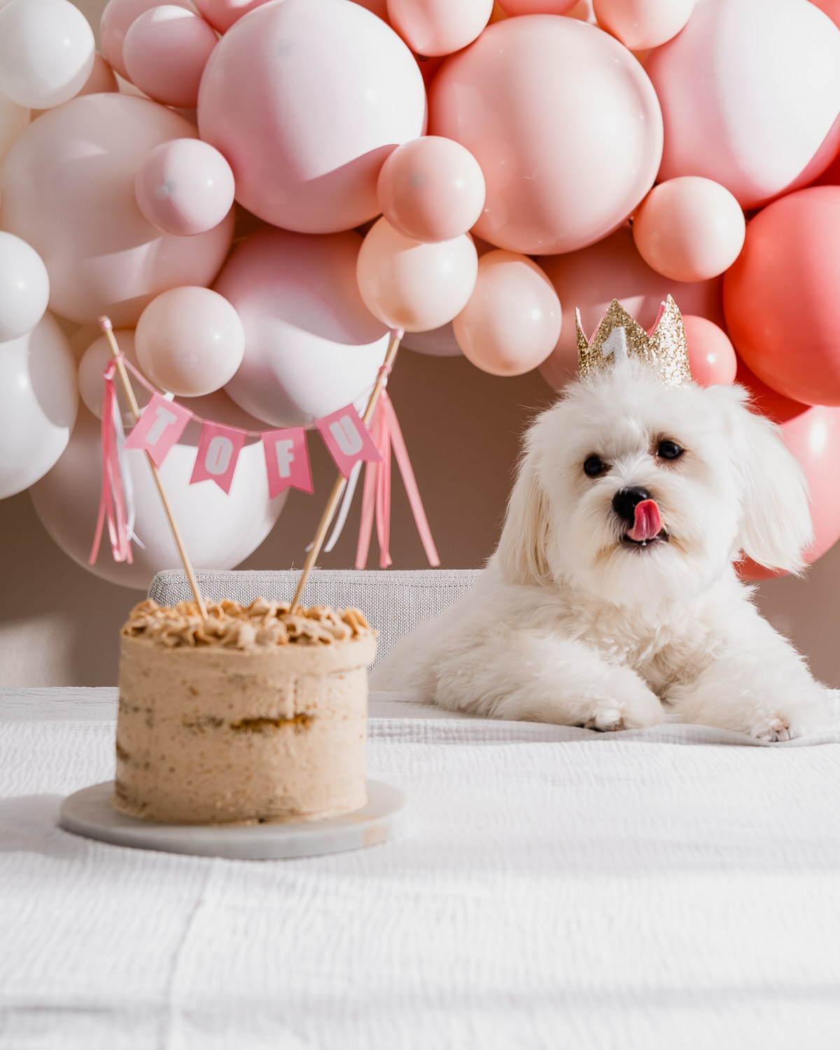 A dog licking its lips while staring at a birthday cake.