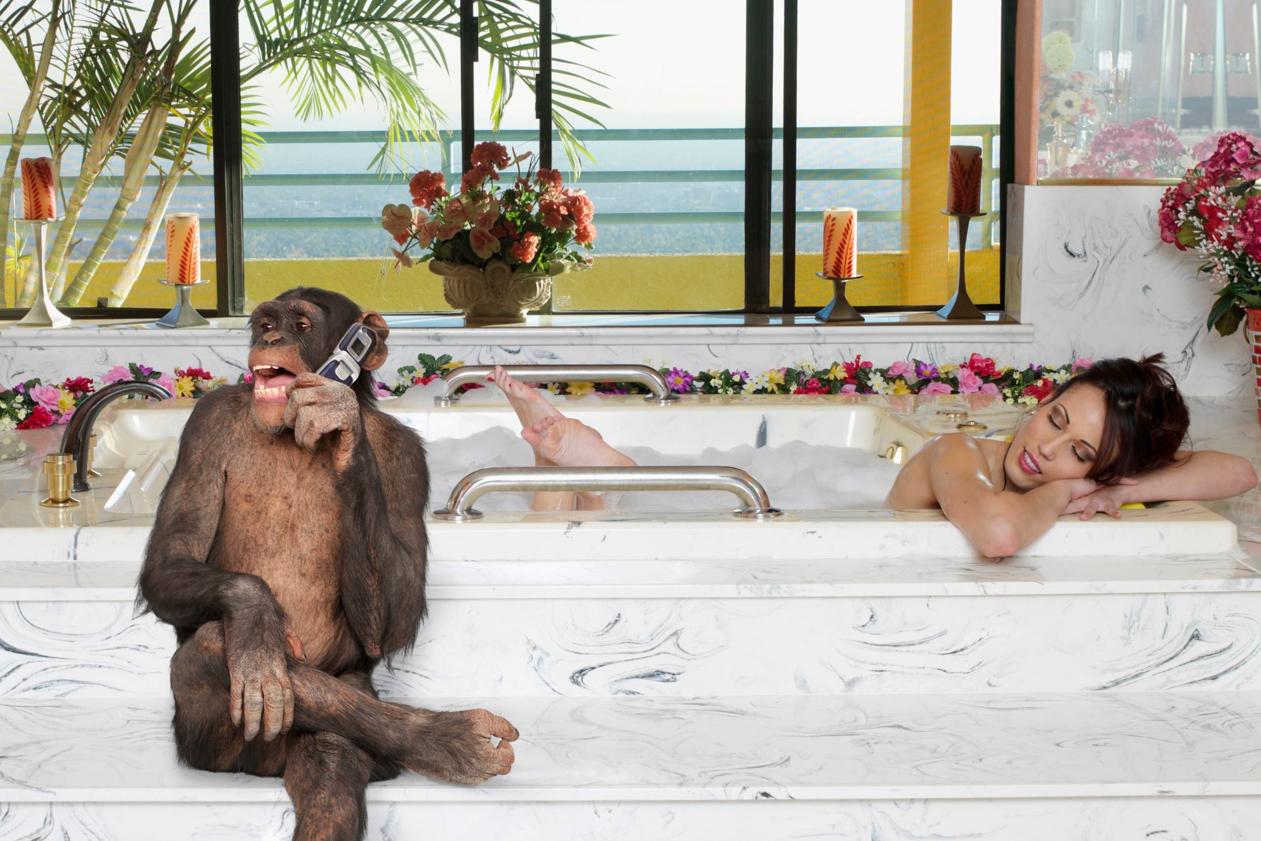Monkey talking on cell phone while woman takes a bath