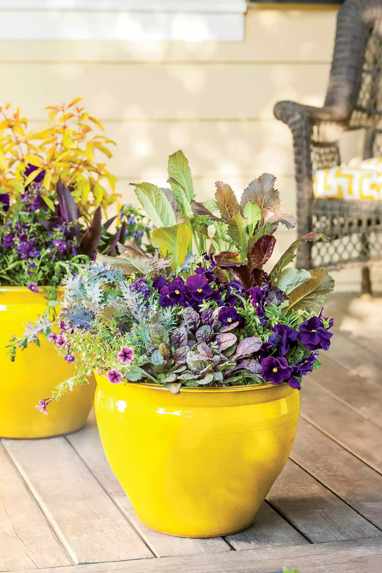 Colorful Porch Container