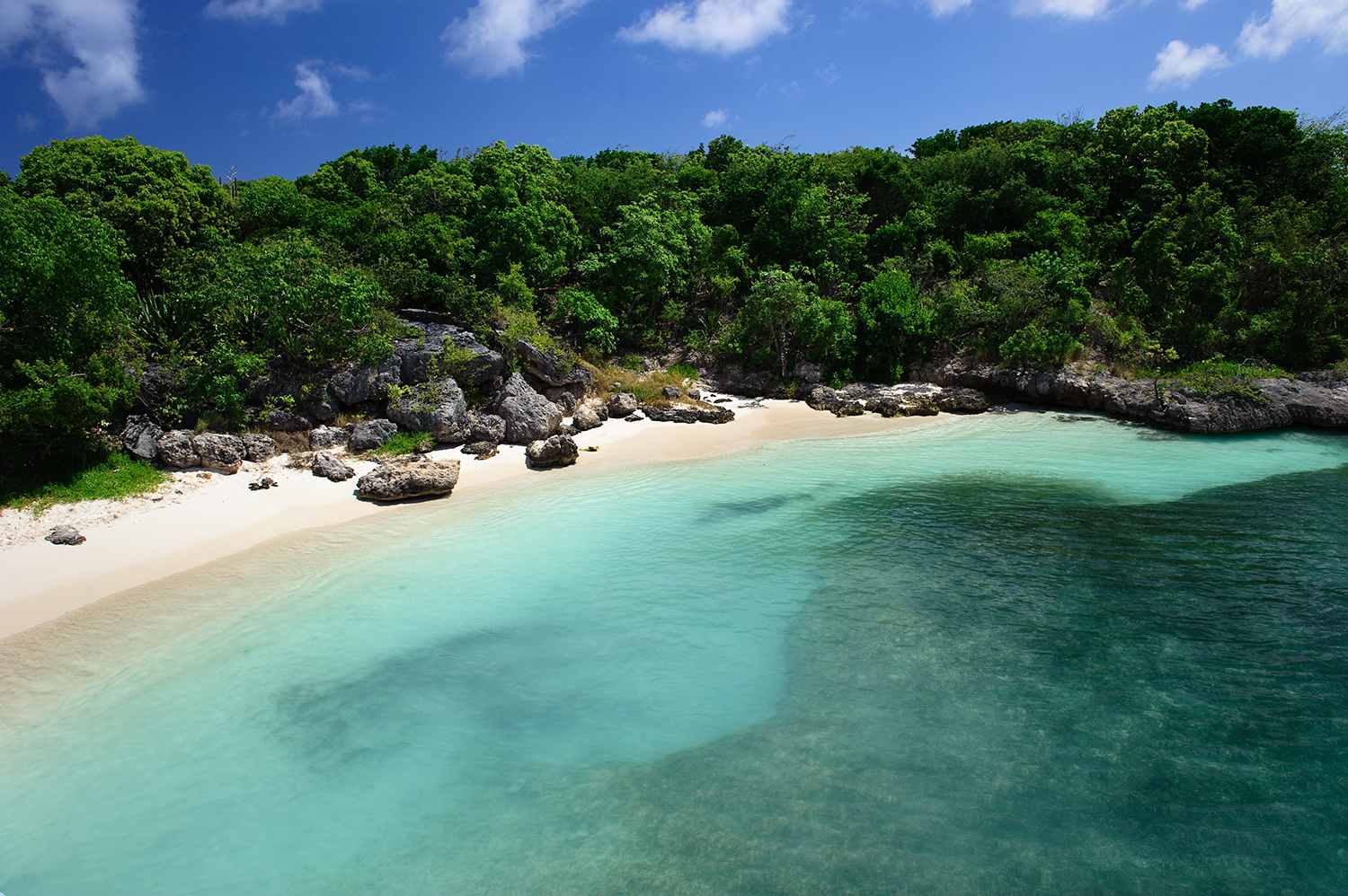 Tropical Beach, Antigua, Antigua & Barbuda