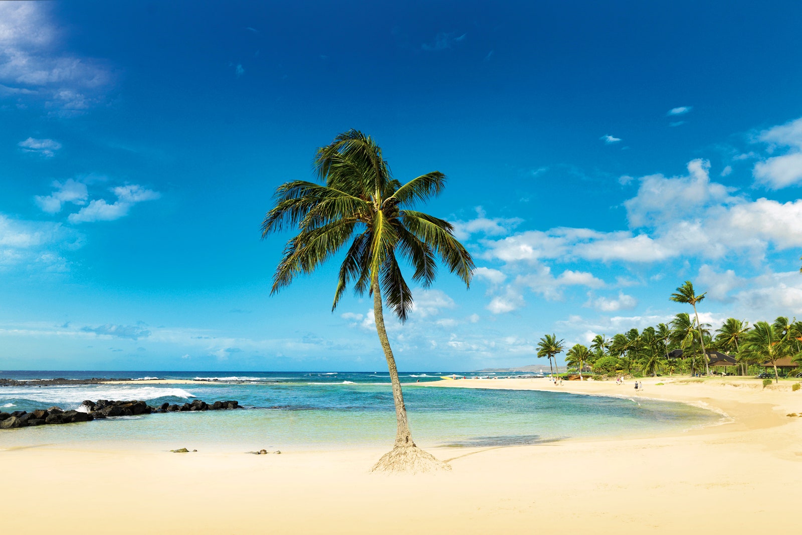 Image may contain Summer Land Outdoors Nature Tropical Ocean Water Sea Shoreline and Coast