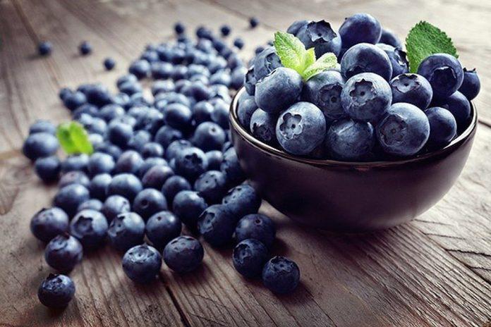 Blueberry là gì? Công dụng của Blueberry và tips làm đẹp hữu ích - BlogAnChoi