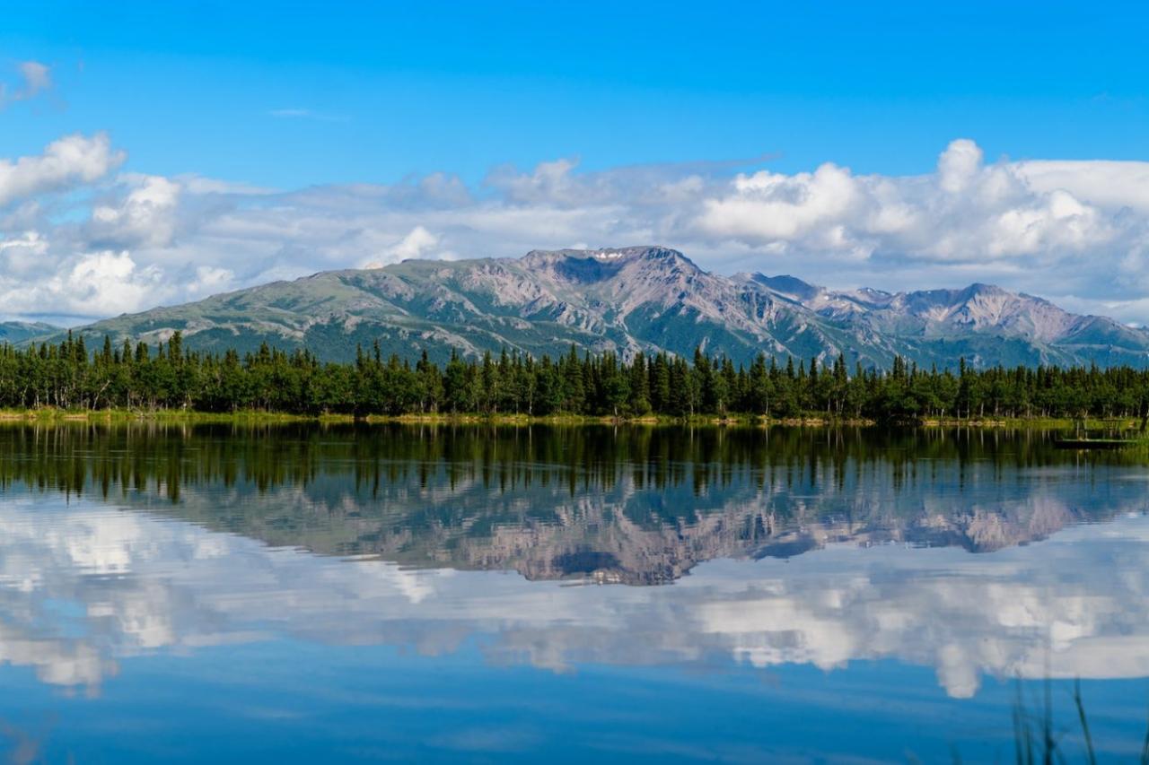 beautiful mountains - denali usa