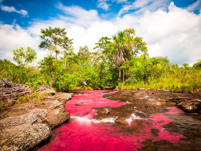 cano cristales colombia