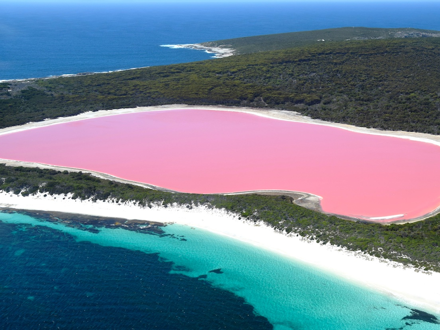 Lake Hillier.