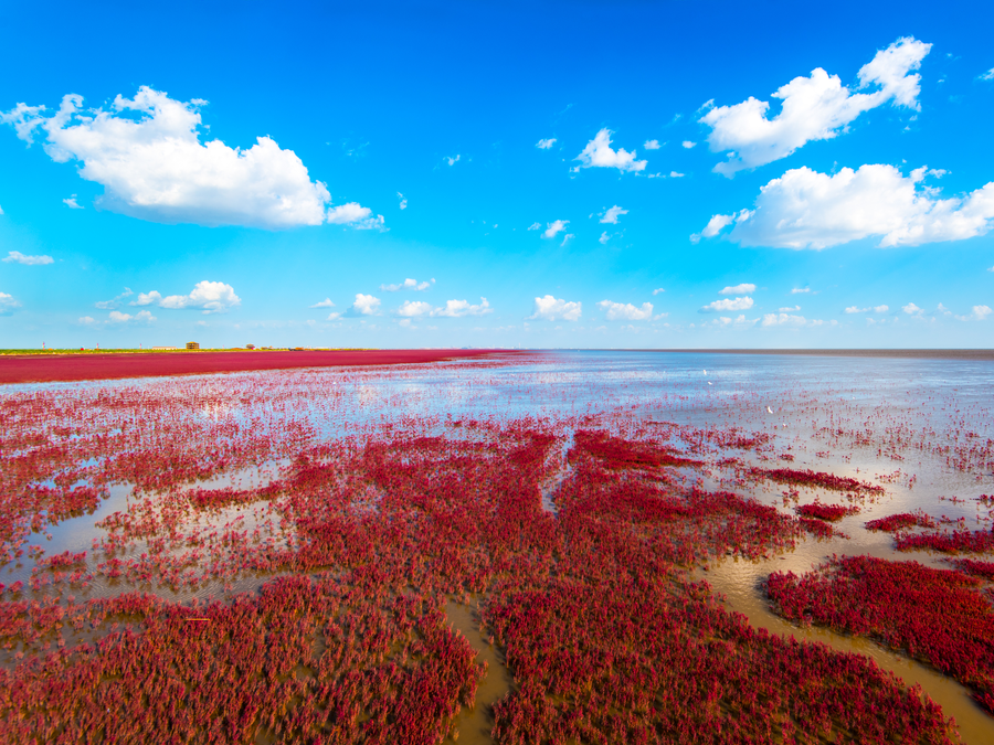 Red Beach