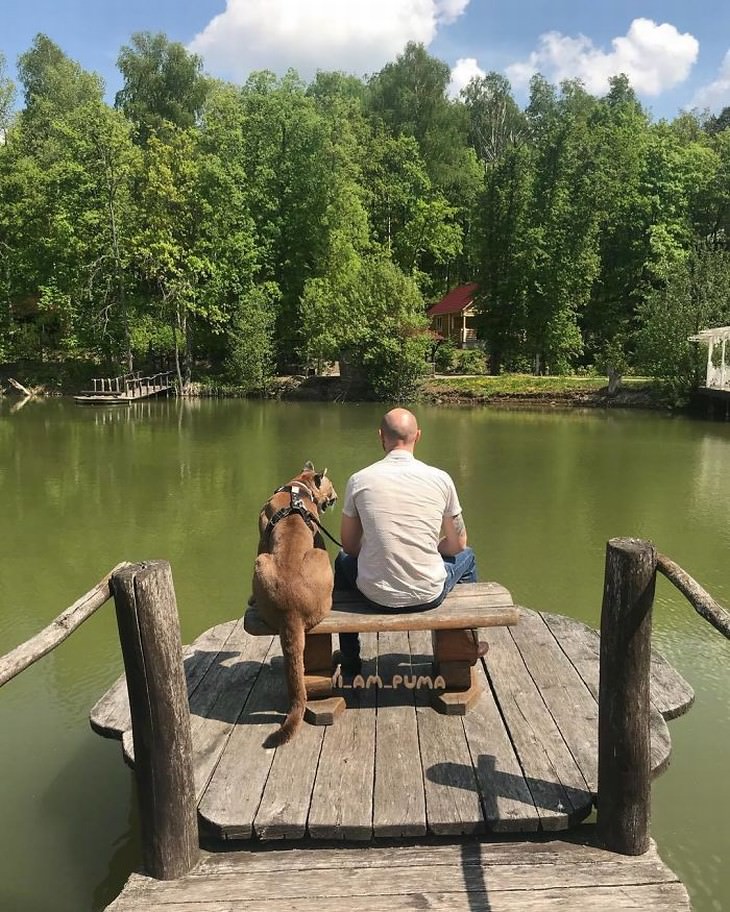 Messi the puma and his owner on a lake