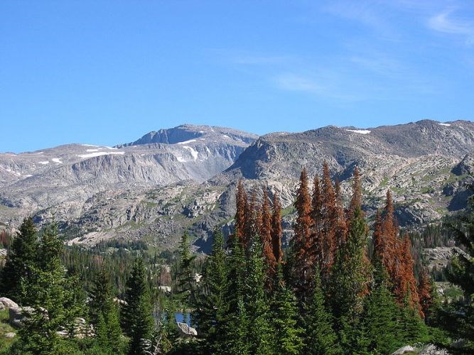 Bighorn Mountains - Bighorn Canyon National Recreation Area (U.S. National  Park Service)