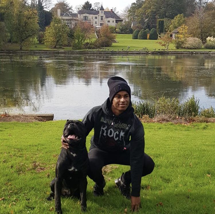 Footballers with animals on X: "Marcus Rashford posing in a picturesque setting with his dog https://t.co/xr7LkCg9QH" / X