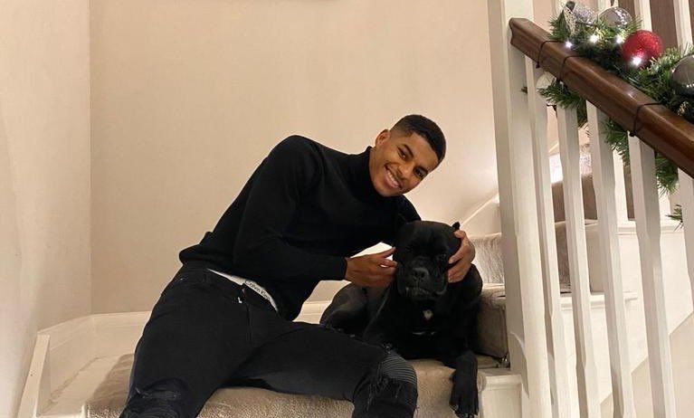 Footballers with animals on X: "Marcus Rashford almost hugging his dog at Christmas https://t.co/f2KqNIobsv" / X