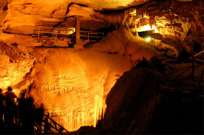 Mammoth Cave National Park