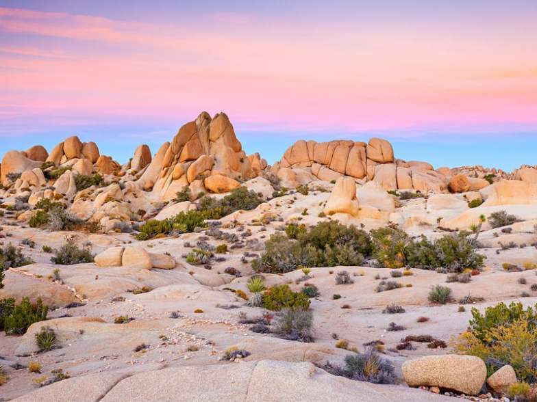 Mojave Desert