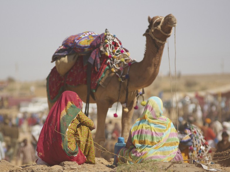 Thar Desert