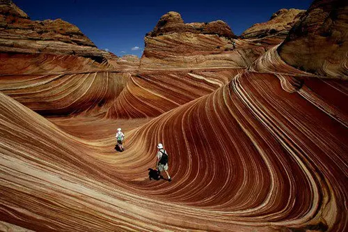 amazing-nature-wave
