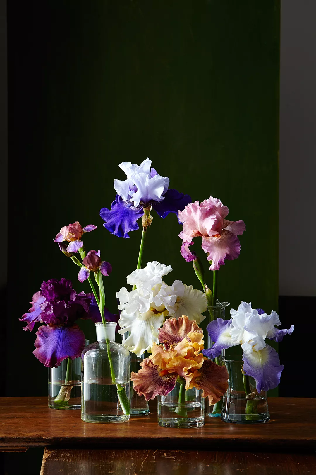 multi-colored bearded irises in glass vases atop a wooden table