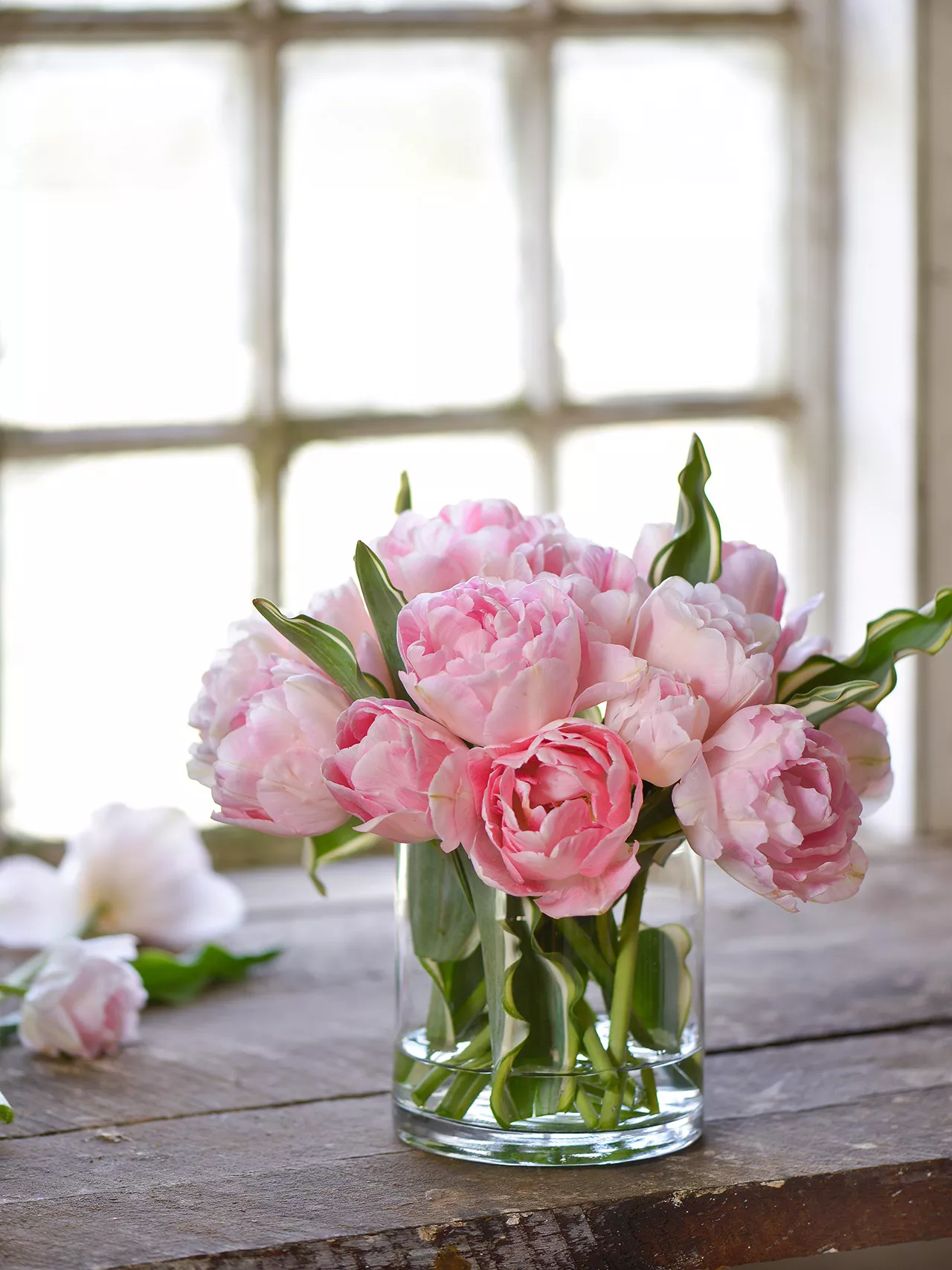 bouquet of 'Angelique' tulips in glass vase