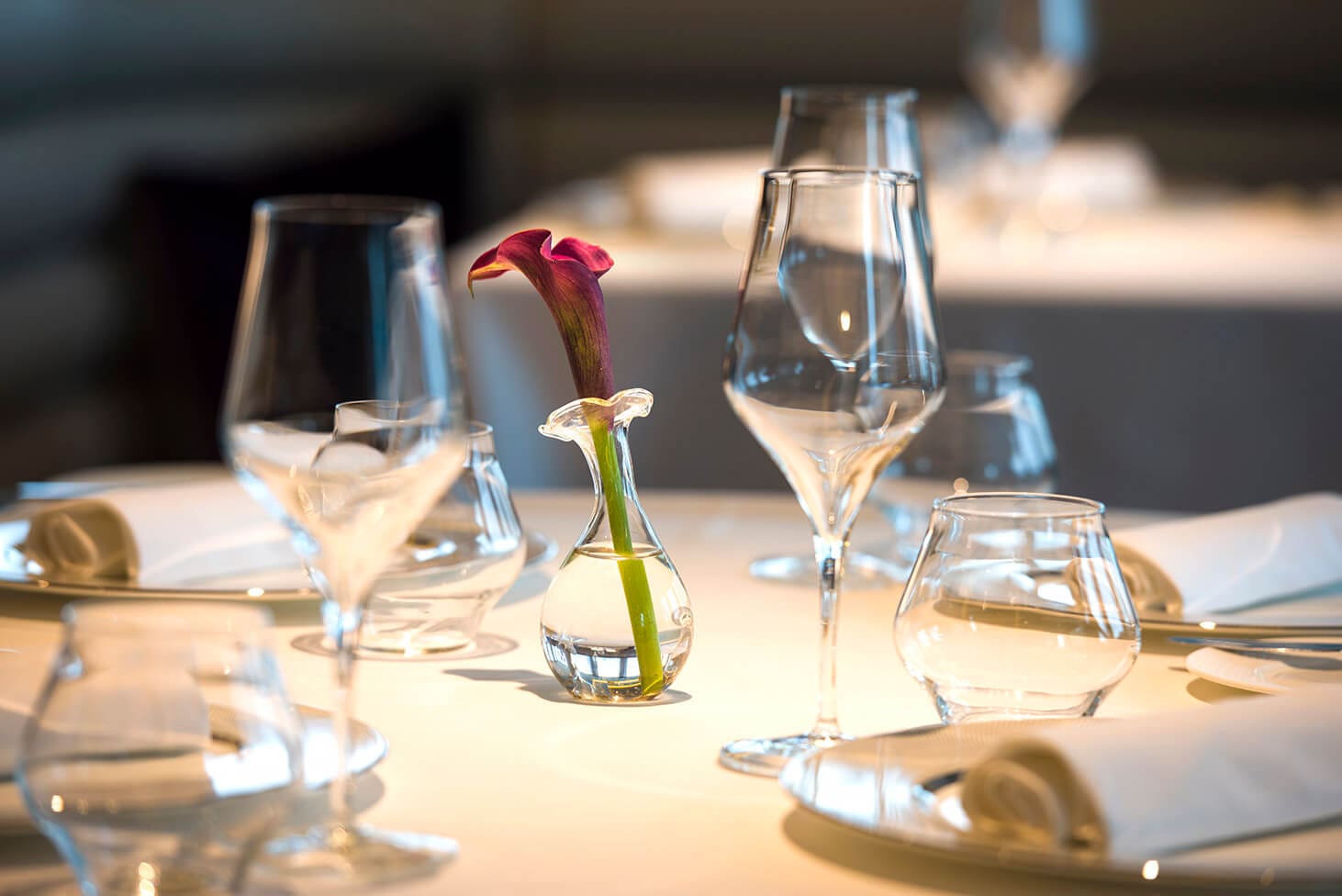 Calla lilly in a clear glass bud vase