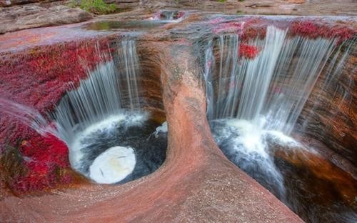 Cano Cristales là con sông nổi tiếng Colombia và thế giới với dòng nước màu đỏ do một loại tảo biển tạo nên. Tuy nhiên, chỉ giữa mùa mưa và mùa khô khi mực nước của sông ổn định, người ta mới nhìn thấy màu sắc rực rỡ của loài tảo khi chúng sinh sôi nảy nở. (Ảnh: Alamy)