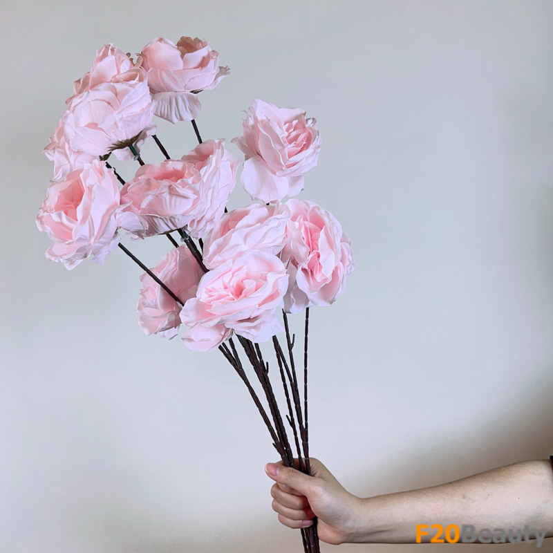 Hoa mao lương Persian hồng nhạt - F20Beauty