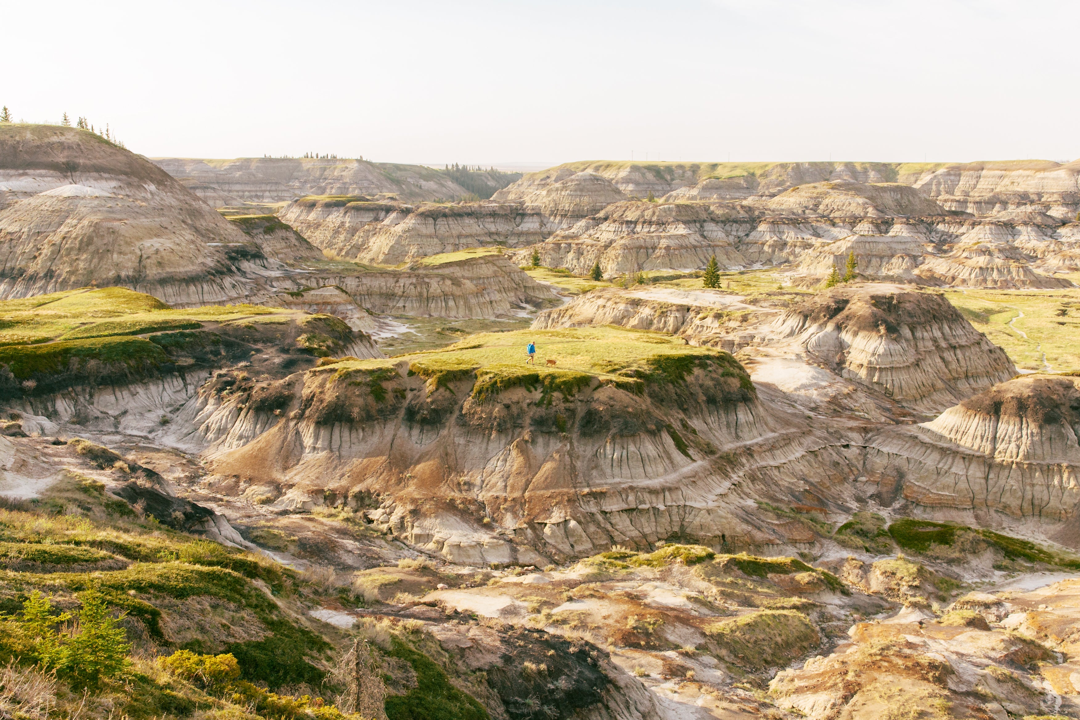 Person and their dog hiking in the badlands of Drumheller