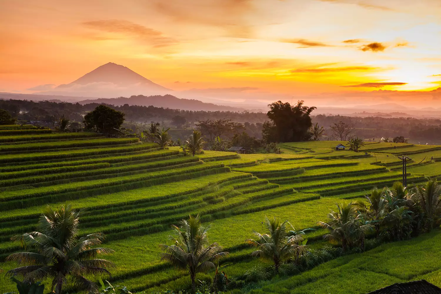 Jatiluwih Rice Terraces, Bali, Indonesia