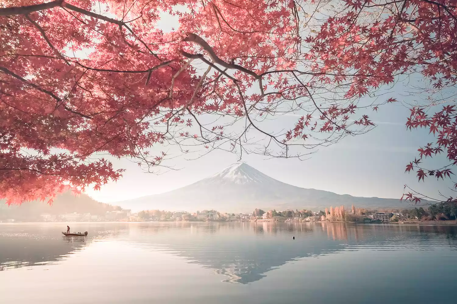 Colorful Autumn Season and Mountain Fuji with morning fog and red leaves at lake Kawaguchiko is one of the best places in Japan