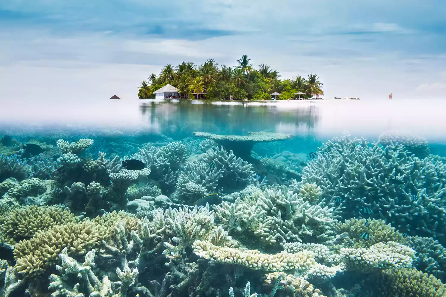 Looking at Ari Atoll in the Maldives from halfwater