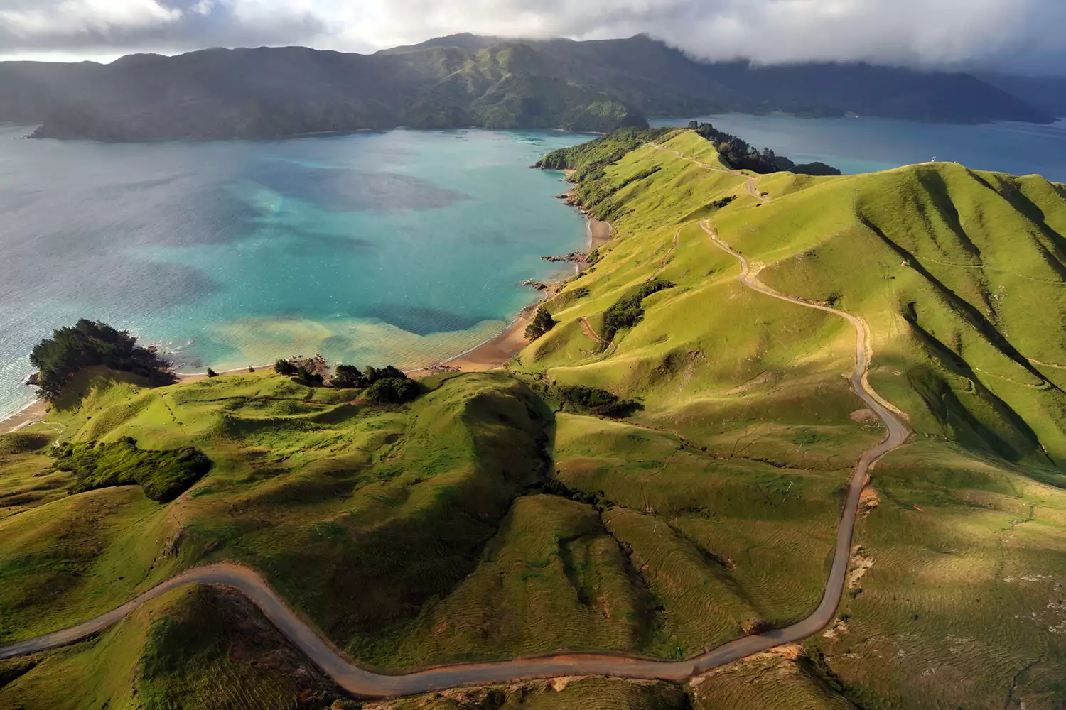 Aerial view of Marlborough Sounds