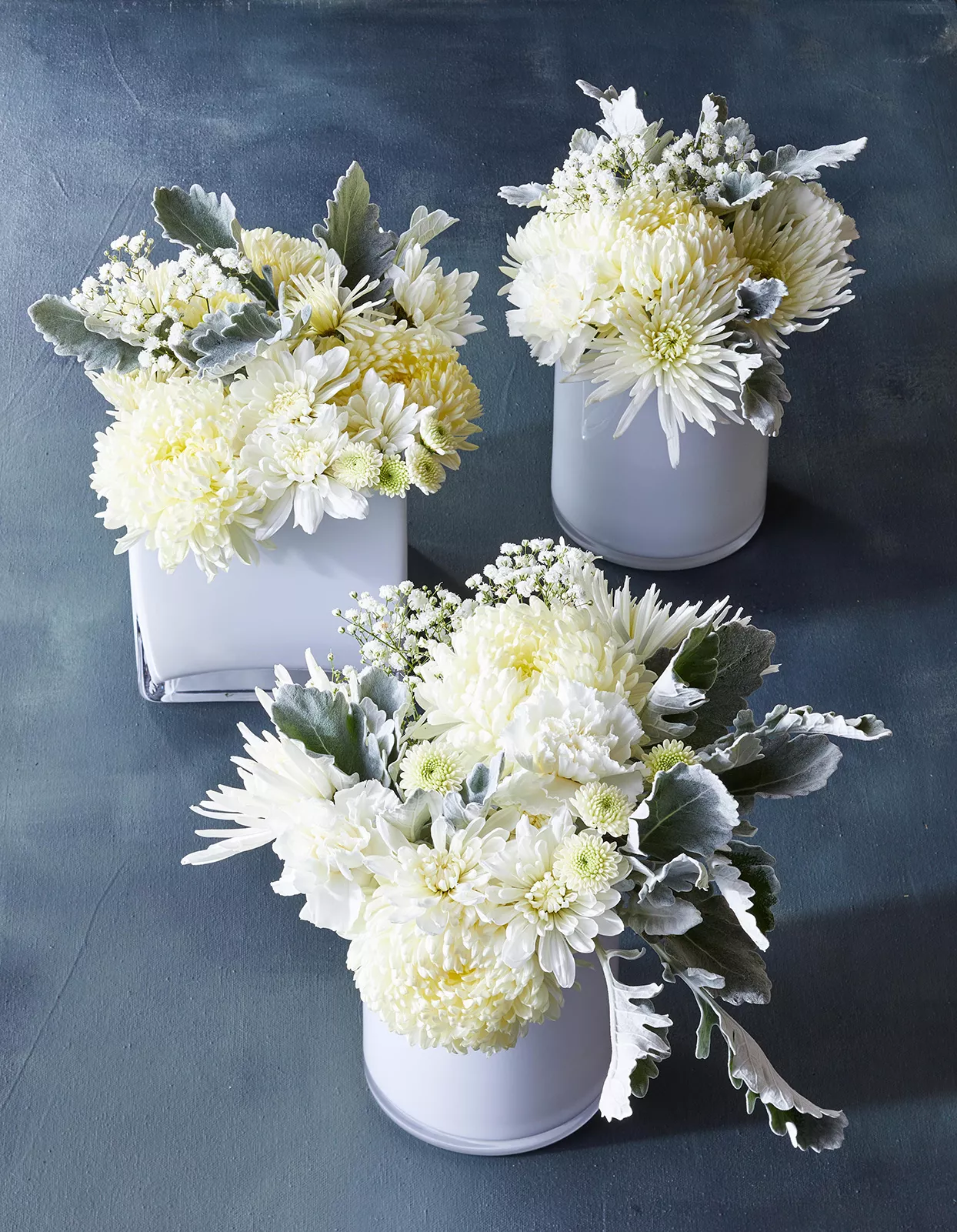 white-chrysanthemum