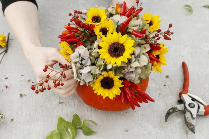 pumpkin-vase-shutterstock_640127257_full_width.jpg