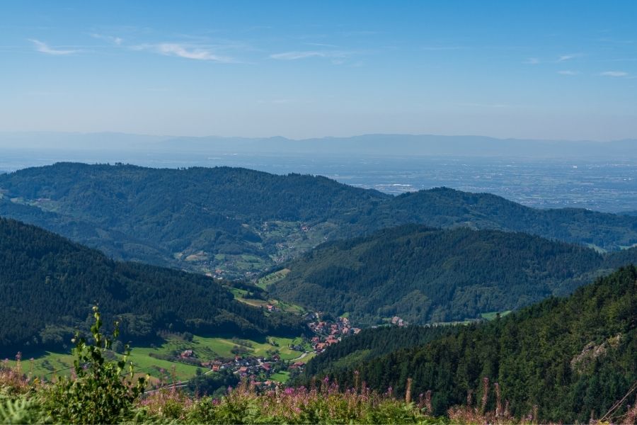 ruhestein mountain black forest national park germany best national parks in europe