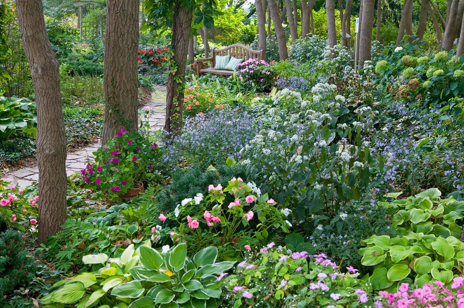 shade garden with trees and path