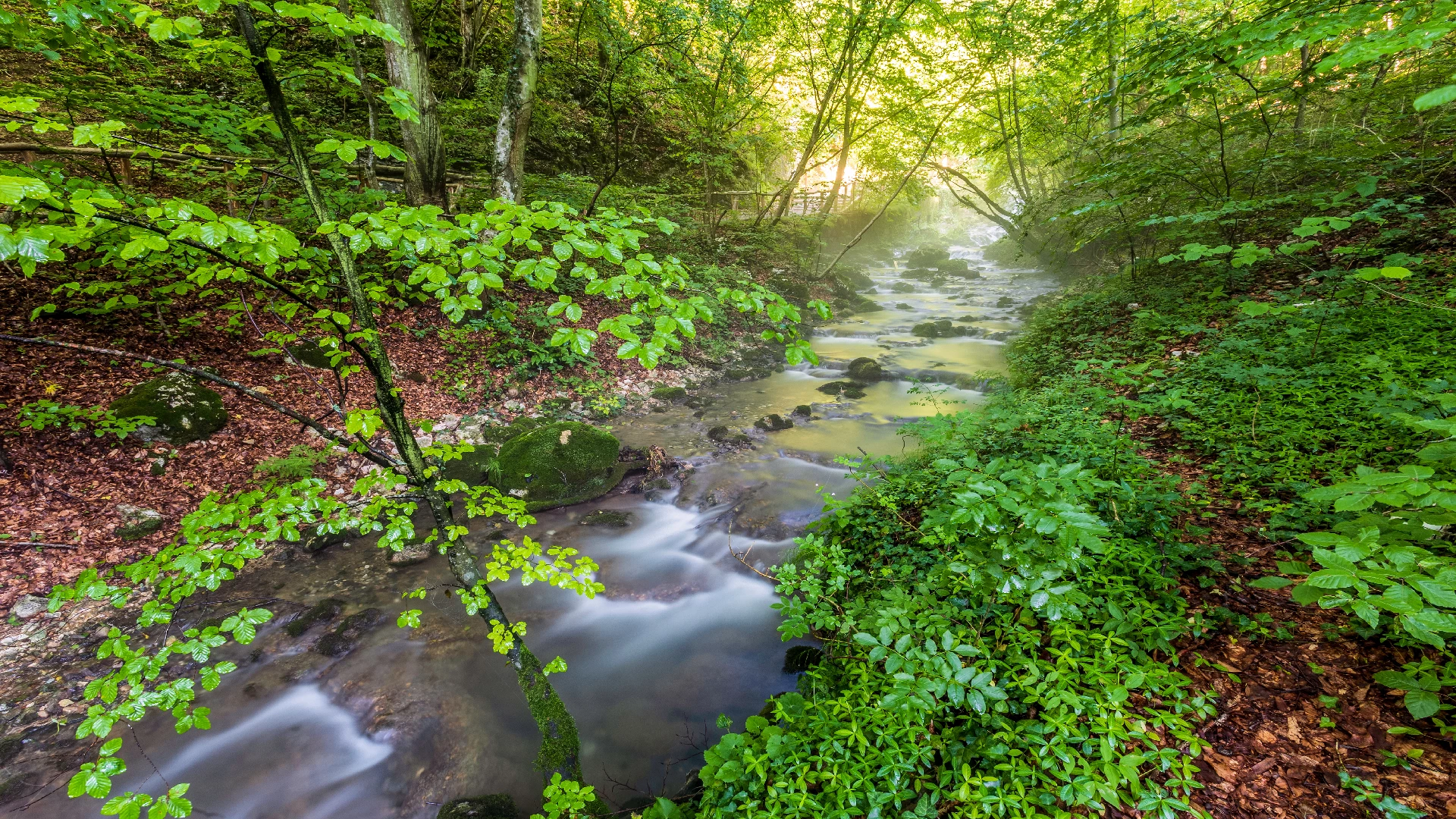 water spring Anina Mountains