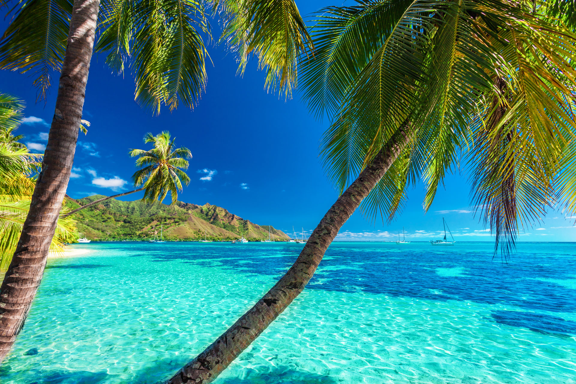 Beautiful hidden tropical beach