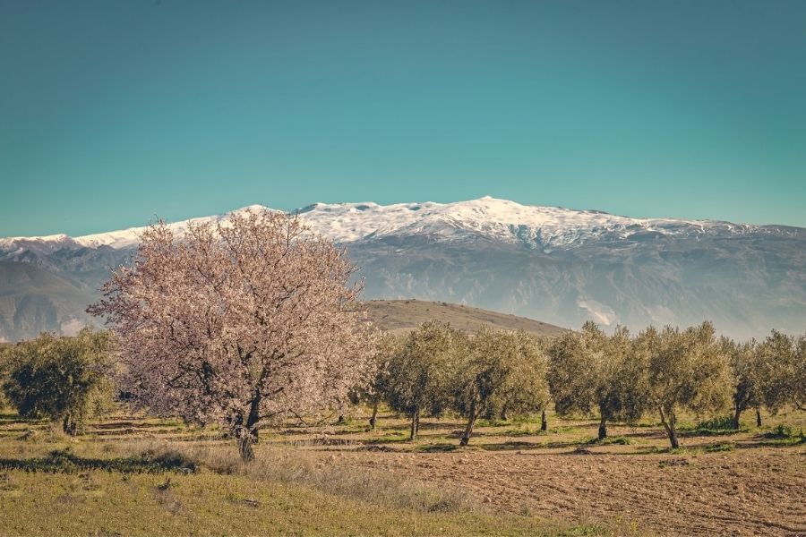 sierra nevada national park spain best national parks in europe