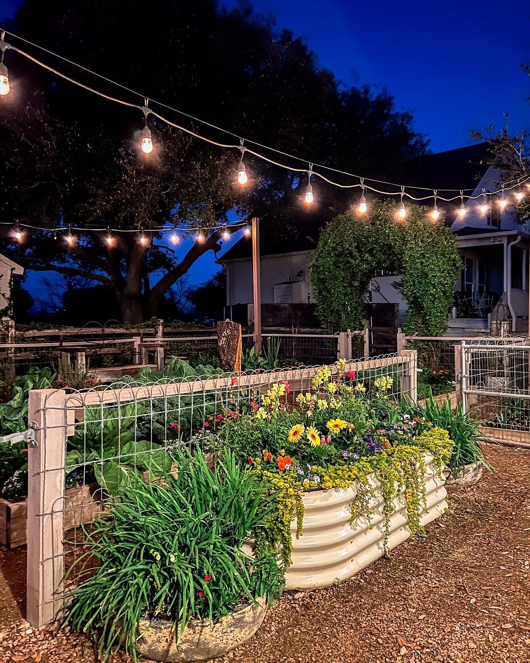 a garden with lights and plants